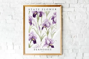 Iris, Tennessee State Flower, Poster Print, Wall Décor - Picture 1 of 6