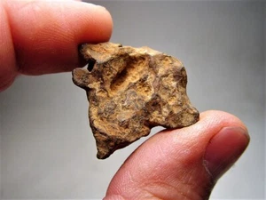 NEWEST MORROCAN IRON! SUPER SCULPTED! AMAZING AGOUDAL METEORITE 22.1 GMS - Picture 1 of 8