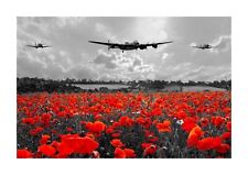 Lancaster Spitrire Hurricane RAF poppies  A4 Printed Poster with choice of frame