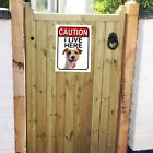 CAUTION I LIVE HERE Jack Russel dog SIGN 267mm x 200mm 1409H1