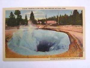 Morning Glory Pool Yellowstone National Park Vintage Unused Postcard - Picture 1 of 2