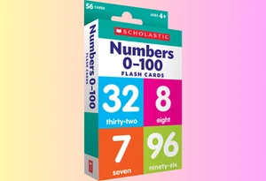 Schede Flash Numero 0-100 - Carte Conteggio Educative - Foto 1 di 7