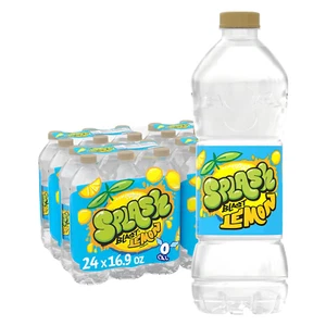 Refrescador de salpicaduras, bebida de agua con sabor a limón, botellas de plástico de 16,9 onzas líquidas (24 Co) - Imagen 1 de 8