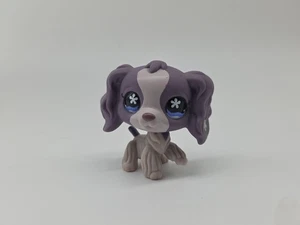 COCKER SPANIEL DOG #672 - Authentic Littlest Pet Shop - Hasbro LPS - Picture 1 of 6