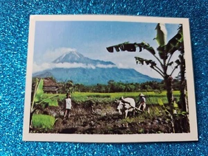 Weet Bix Discovering Indonesia 1975🏆#12 VOLCANIC ISLES Card🏆FREE POST - Picture 1 of 2
