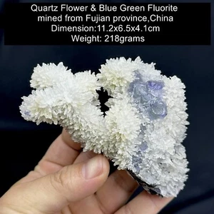 Muestra Mineral Fina Azul Verde Fluorita con Flor de Cristal de Cuarzo #3 - Imagen 1 de 5