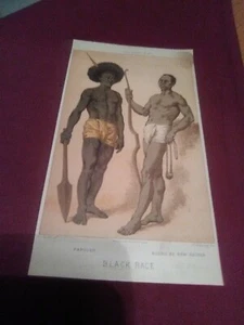 La razza umana, razza nera, Papouan, nero della Nuova Guinea (stampa del 1872)  - Foto 1 di 6