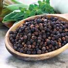 Organic Malabar Black Pepper Peppercorn Whole Herbs Black Tellicherry Free Ship