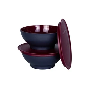 Tupperware Allegra Schüssel 2x 275 ml Merolt Anthrazit Servierschüssel Set - Bild 1 von 2