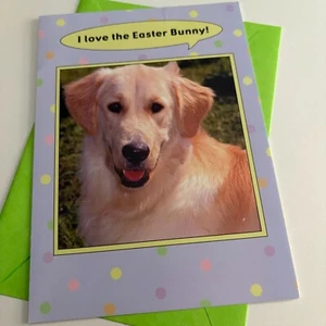 Tarjeta de Pascua Golden Retriever Dog I love the Easter Bunny DCI Studios tarjeta de tomate - Imagen 1 de 3