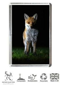 Kühlschrankmagnet, umweltfreundliche Verpackung: Rotfuchs Hund Füchse Tier | Wildlife - Bild 1 von 4