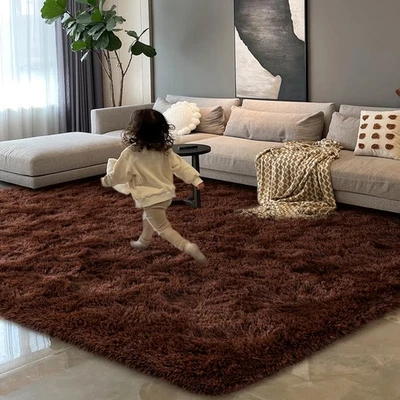 Brown Living Room Rug, 4x6 Feet Fluffy Area Rug Modern Shag Rugs for Bedroom ... - Image 1 of 4
