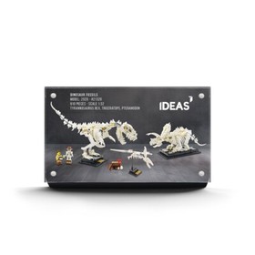 #21320 Dinosaur Fossils - Li'l Wider Display Plaques