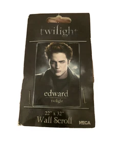 Twilight 22" x 32" Wall Scroll Edward Alone - New In Packaging - Picture 1 of 4