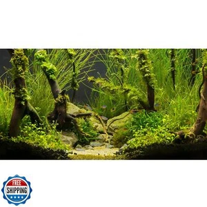 Terrario ZatiasMiller Subacuático Acuario Fondo Plantas Piedras y Raíces - Imagen 1 de 5