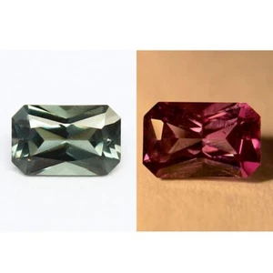 Natural Color Change Garnet 0.57 Carat 6x3.8 MM Octagon Shape Faceted Gem - Picture 1 of 10