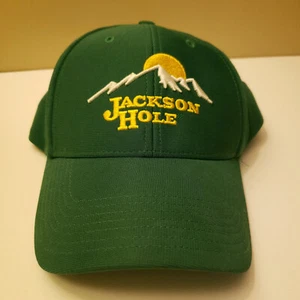 Jackson Hole Cap Hat Youth Green Strapback Sun Mountain 47 Brand Outdoor Hike WY - Picture 1 of 8