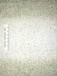 Winter Grandeur Stoff - Metallic Ombre Streifen Creme - Robert Kaufman YARD - Bild 1 von 1