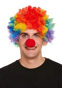 Clown Rainbow Wig & Red Foam Nose Fancy Dress Set Multicoloured Day Pride Party - Picture 1 of 12