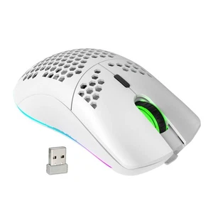 Gaming Mouse Wireless Lightweight Honeycomb Design Optical RGB Backlight 6 Butto - Imagen 1 de 9