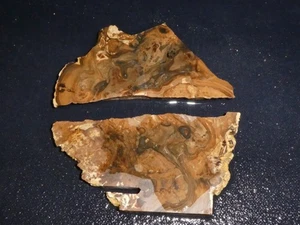 Stromatolite fossil slab-2 pieces-rough-cabbing-display ,science - Picture 1 of 3