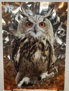 Panini Harry Potter Chamber of Secrets Fragmented Reality Owl Orange Cracked Ice - Picture 1 of 2