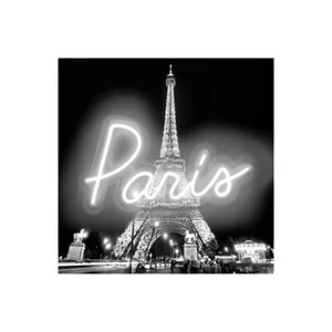 Impresión En Lienzo En Papel Póster O Cuadro Carr Hailey NEÓN PARÍS WB - Bild 1 von 2