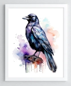 Krähe Wandbilddruck, Rabe Wandbild Deko Druck, Wildlife Wandbild Druck #563 - Bild 1 von 2