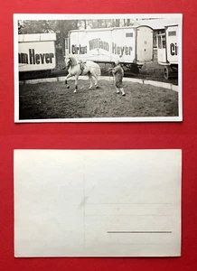 Original Foto AK Cirkus Heyer Dompteur mit Pferd Zirkus Wagen Training ( 41730 - Bild 1 von 1