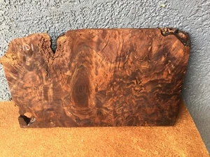 Walnut Burl Slab Billet Crafts Woodworking Turning   1" x 10" x 18 1/2"  #1101 - Picture 1 of 8