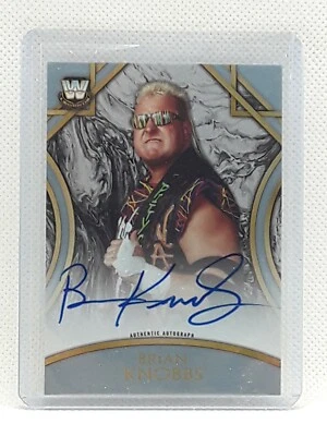 Brian Knobbs 2018 Topps WWE Legends - SILVER (20/50) - ON CARD AUTO - Nasty Boys - Image 1 of 2