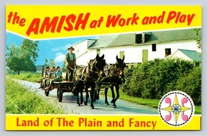Grüße aus dem Amish-Land Die Amish bei der Arbeit & beim Spielen Pferdewagen Vintage Postkarte  - Bild 1 von 3