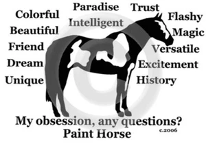 Dipingi il cavallo la mia ossessione, qualche domanda? T-shirt Choices - Foto 1 di 7