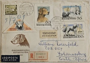 1956 Hungary Registered Budapest Cover Ties Dogs Stamps to Johannesburg Africa  - Picture 1 of 2