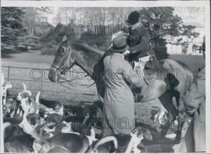 1929 Hunter Horse Hounds Cowdray Hunt Chichester England Press Photo - Picture 1 of 2