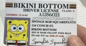 SpongeBob SquarePants Driver's License PVC Card Novelty - Picture 1 of 1