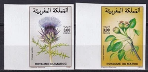 Marruecos 1991 Yvert 1102/03 flores imperforadas - Imagen 1 de 1