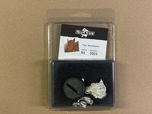 Thor Meinhammer (Minicrate Mini #54 con tarjeta, marzo de 2022) Warmachine - Imagen 1 de 2