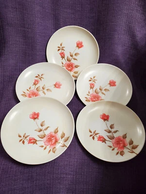 5 platos de melamina Foto 1 de 3