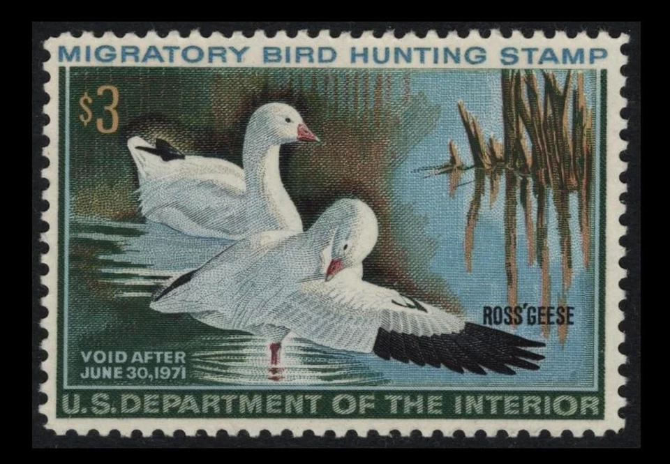 RW37 Duck Hunting $3 ROSS'S GEESE 1970 MNH $65 SEE PHOTOS Lot Q-688 - Image 1 of 1