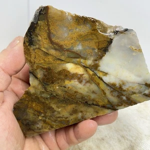 1lb Polka Dot Agate. Madras Oregon Lapidary Rough For Slabbing, Cabbing #5 - Picture 1 of 7