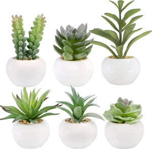 Juego de 6 plantas suculentas artificiales en macetas blancas decoracion hogar - Picture 1 of 11