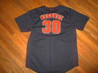 MAGGLIO ORDONEZ DETROIT TIGERS 30 JERSEY Baseball Embroidered Sewn Stitch YOUTH  - Image 1 of 4