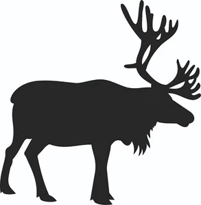 Car Sticker Moose Sticker Choice of Colours Approx. 200 X 200 MM - Foto 1 di 1