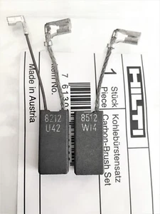Escobillas Carbón HILTI TE70 AVR TE50 TE500 AVR 03 DD110 DD120 366126 2082534 39 - Imagen 1 de 6