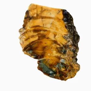 Morrisonite Jasper Slab - Butterscotch and Blue Sky with Orb Formations - Picture 1 of 4
