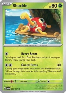 Shuckle - 005/197 / English / Near Mint - Picture 1 of 1