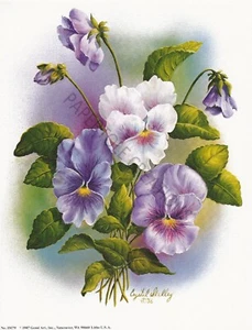 Paper tole Kit-SB1-Geme Art-RDM-IM79 Purple and White Pansies - Picture 1 of 1