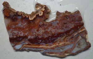 WRG- Rare Lysite Agate Slab 92 grams Wyoming Lapidary - Picture 1 of 4