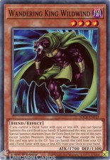 SDCK-EN013 Wandering King Wildwind :: Common 1st Edition YuGiOh Card
